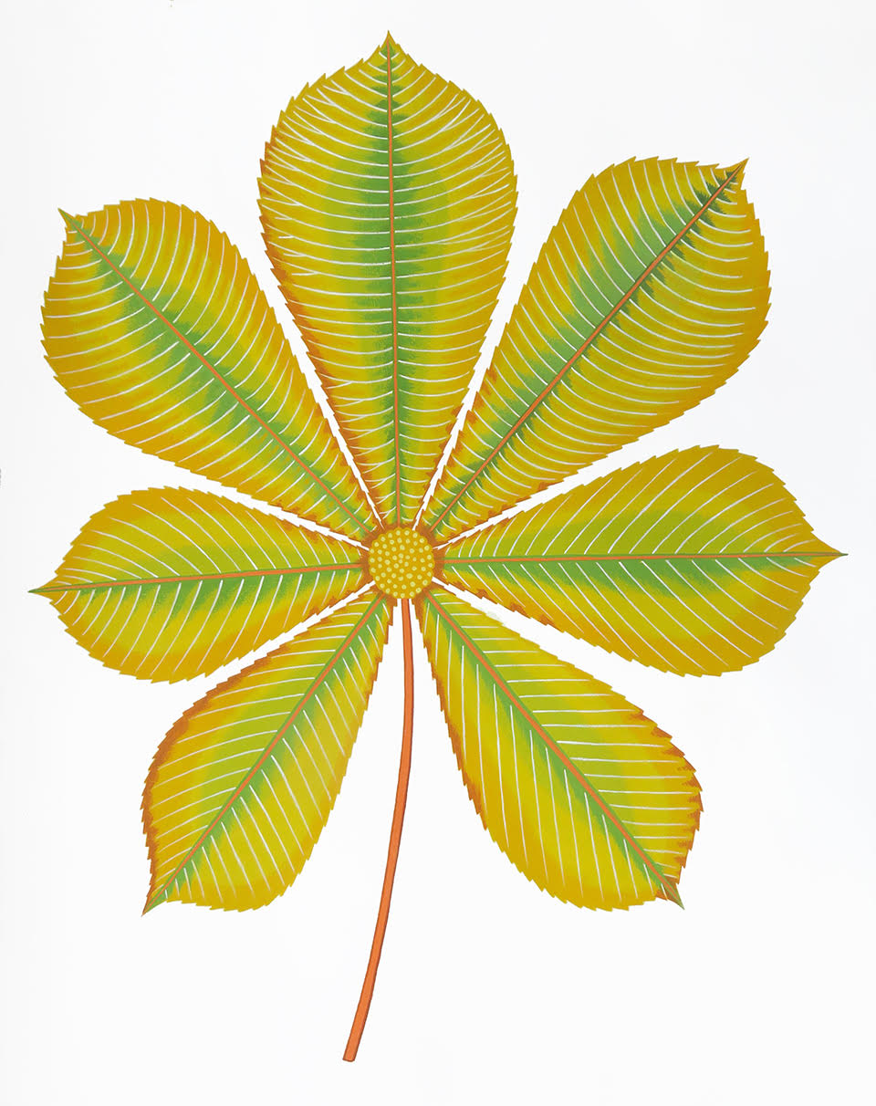Sweet Gum Leaf by Joy Taylor